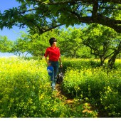 Vị trí đắc địa trung tâm TT Mộc Châu giá đầu tư